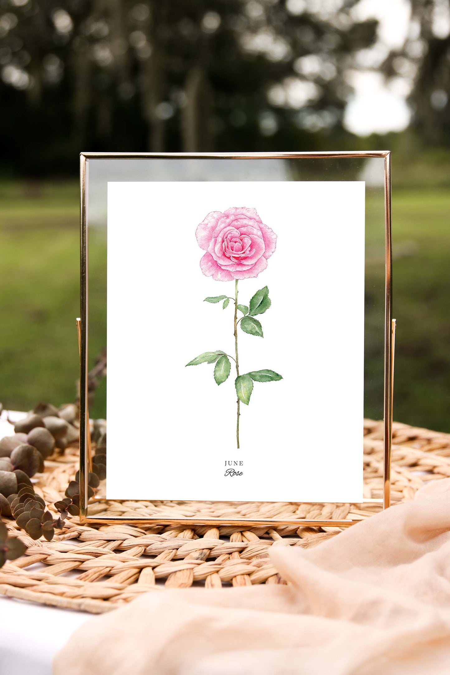 Rose Art Print, June Birth Flower
