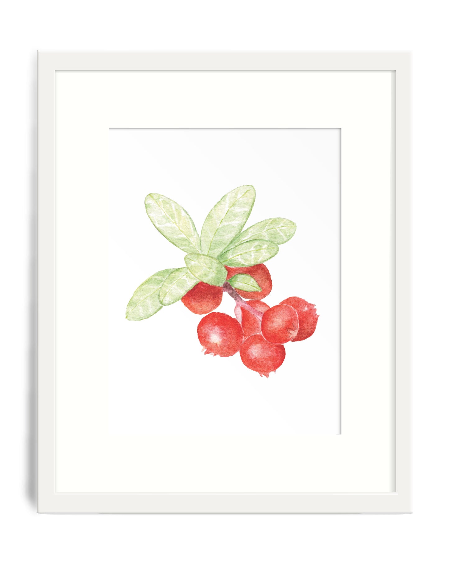 Cranberry Art Print