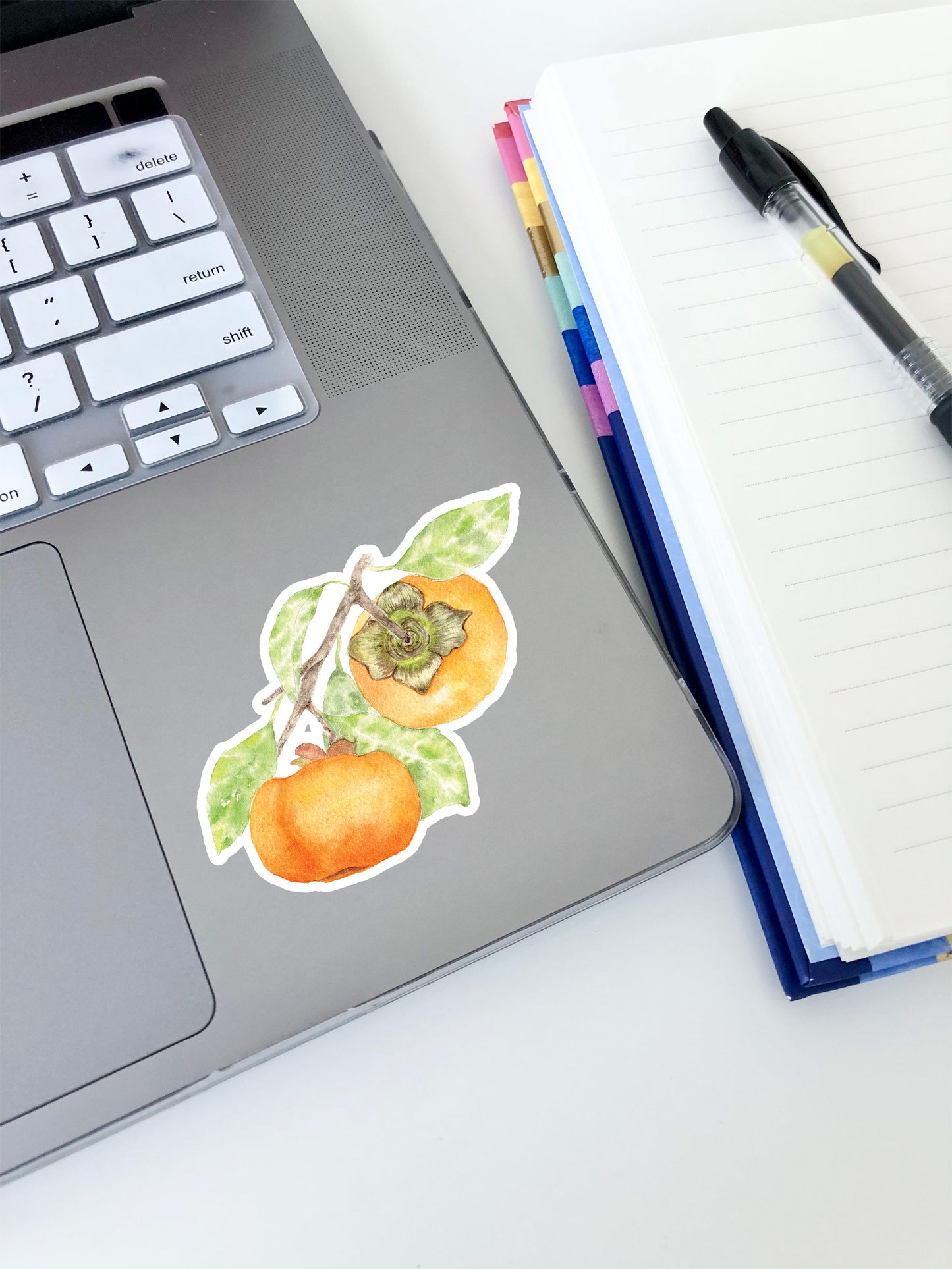 Persimmon Sticker 2"x3"