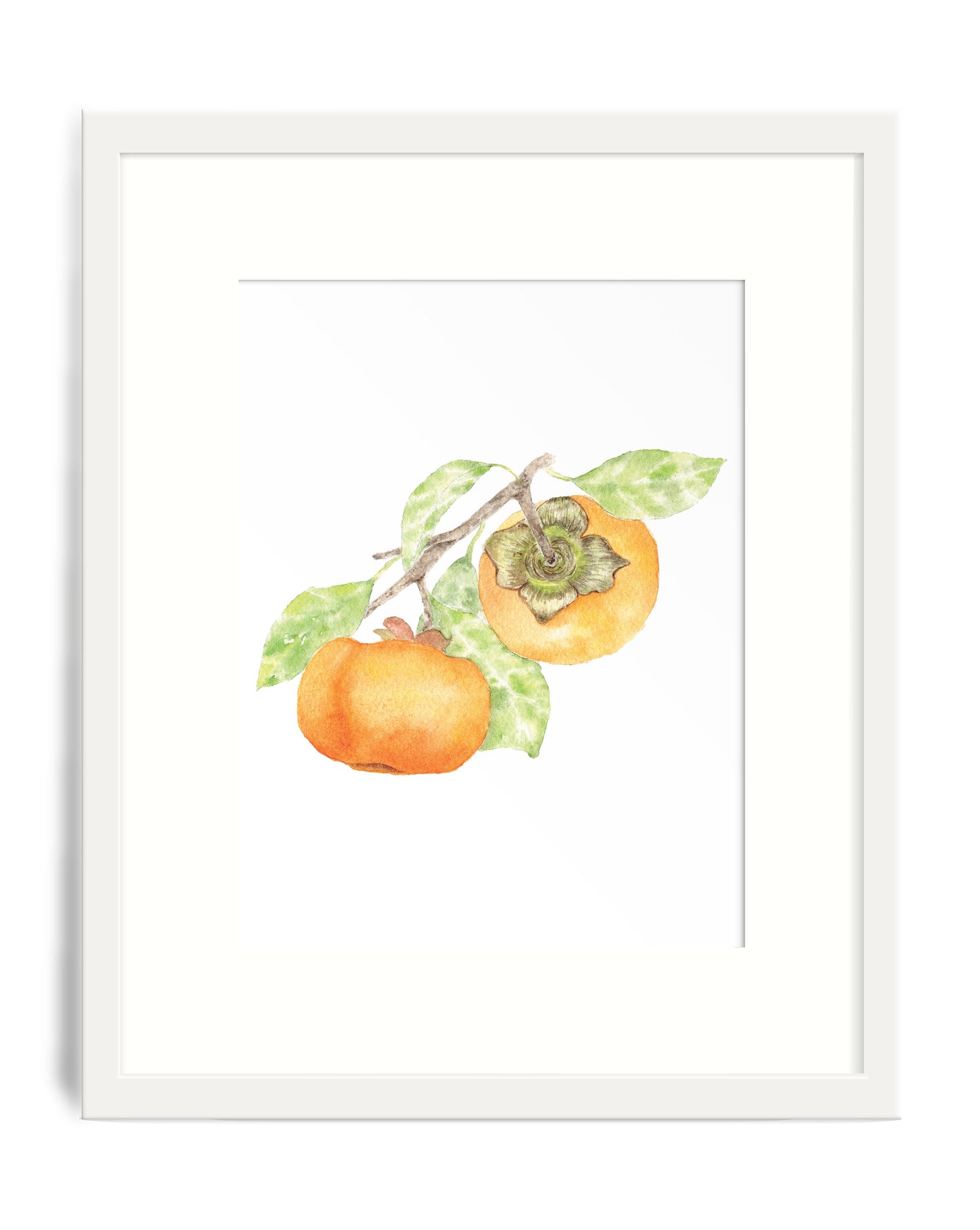 Persimmon Art Print
