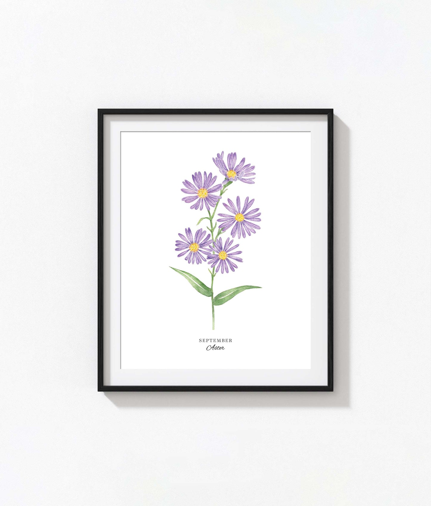 Aster Art Print, September Birth Flower