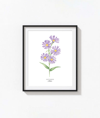 Aster Art Print, September Birth Flower