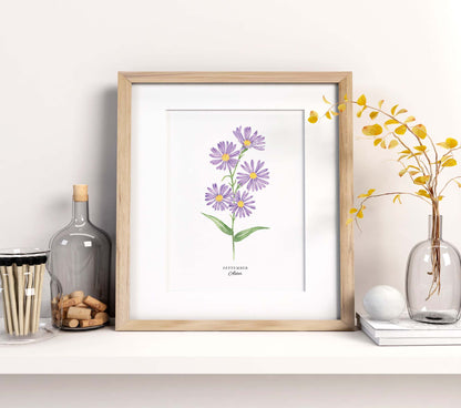 Aster Art Print, September Birth Flower