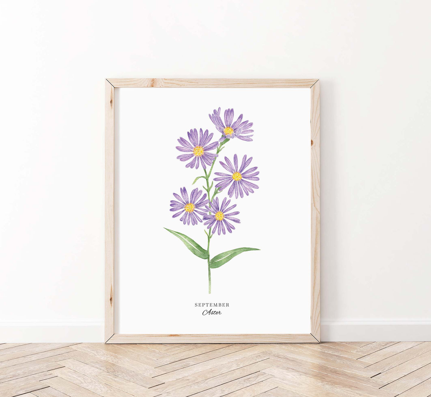 Aster Art Print, September Birth Flower