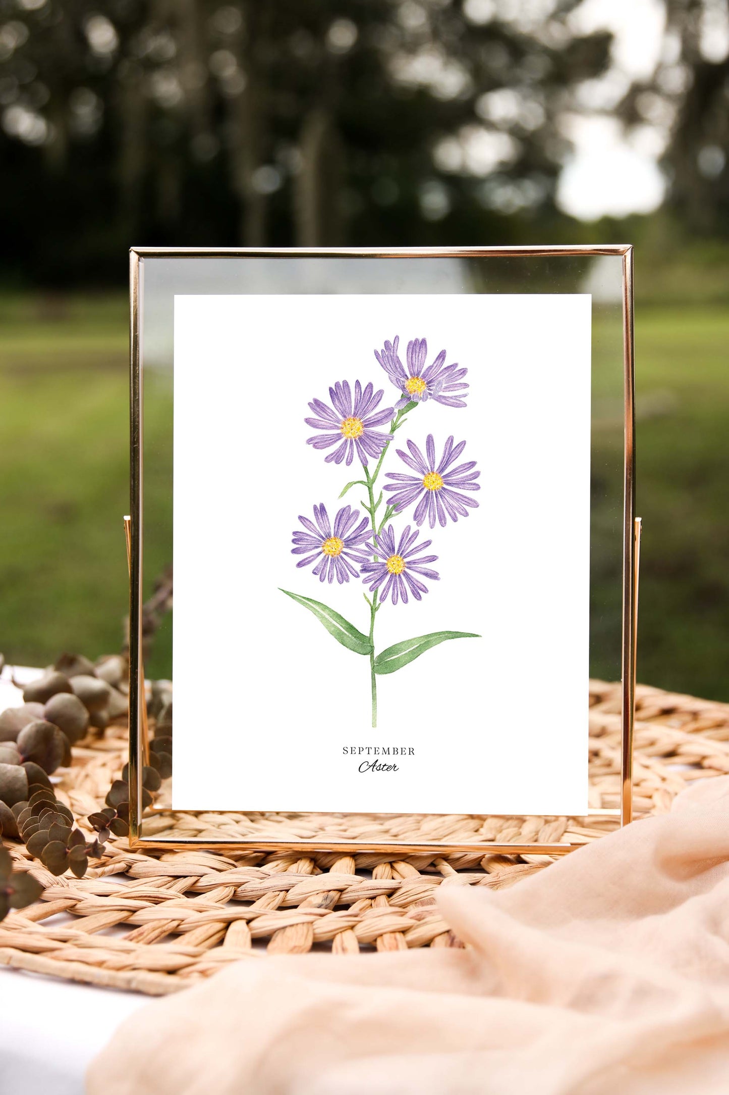 Aster Art Print, September Birth Flower