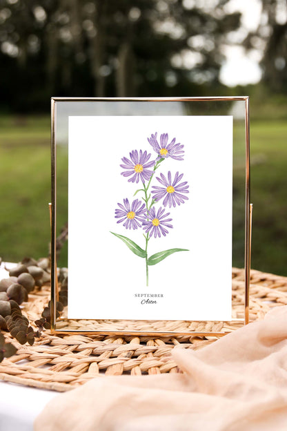 Aster Art Print, September Birth Flower