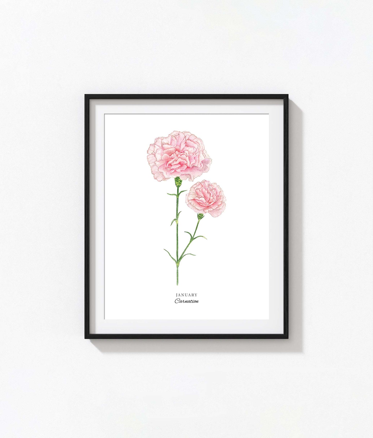 Carnation Art Print, January Birth Flower