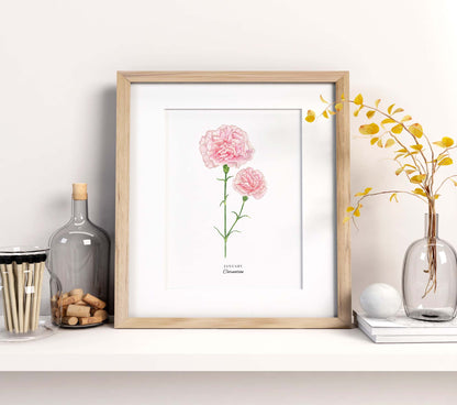 Carnation Art Print, January Birth Flower