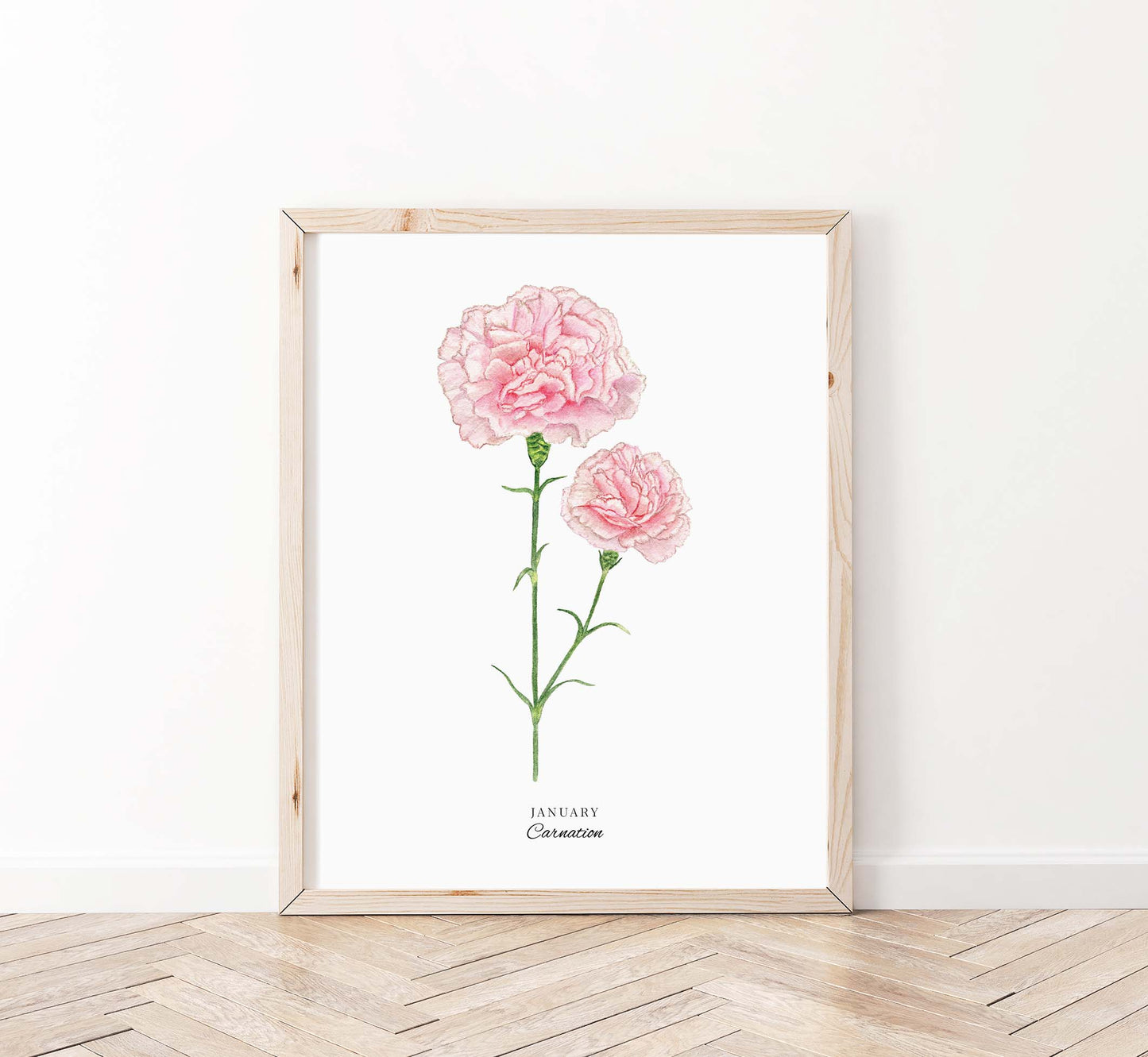 Carnation Art Print, January Birth Flower