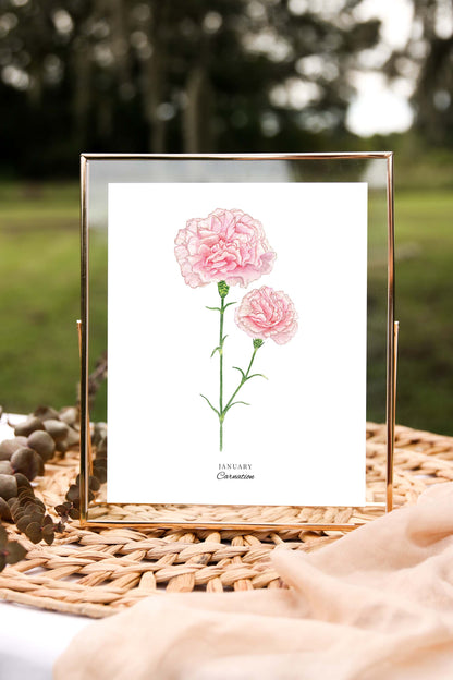 Carnation Art Print, January Birth Flower