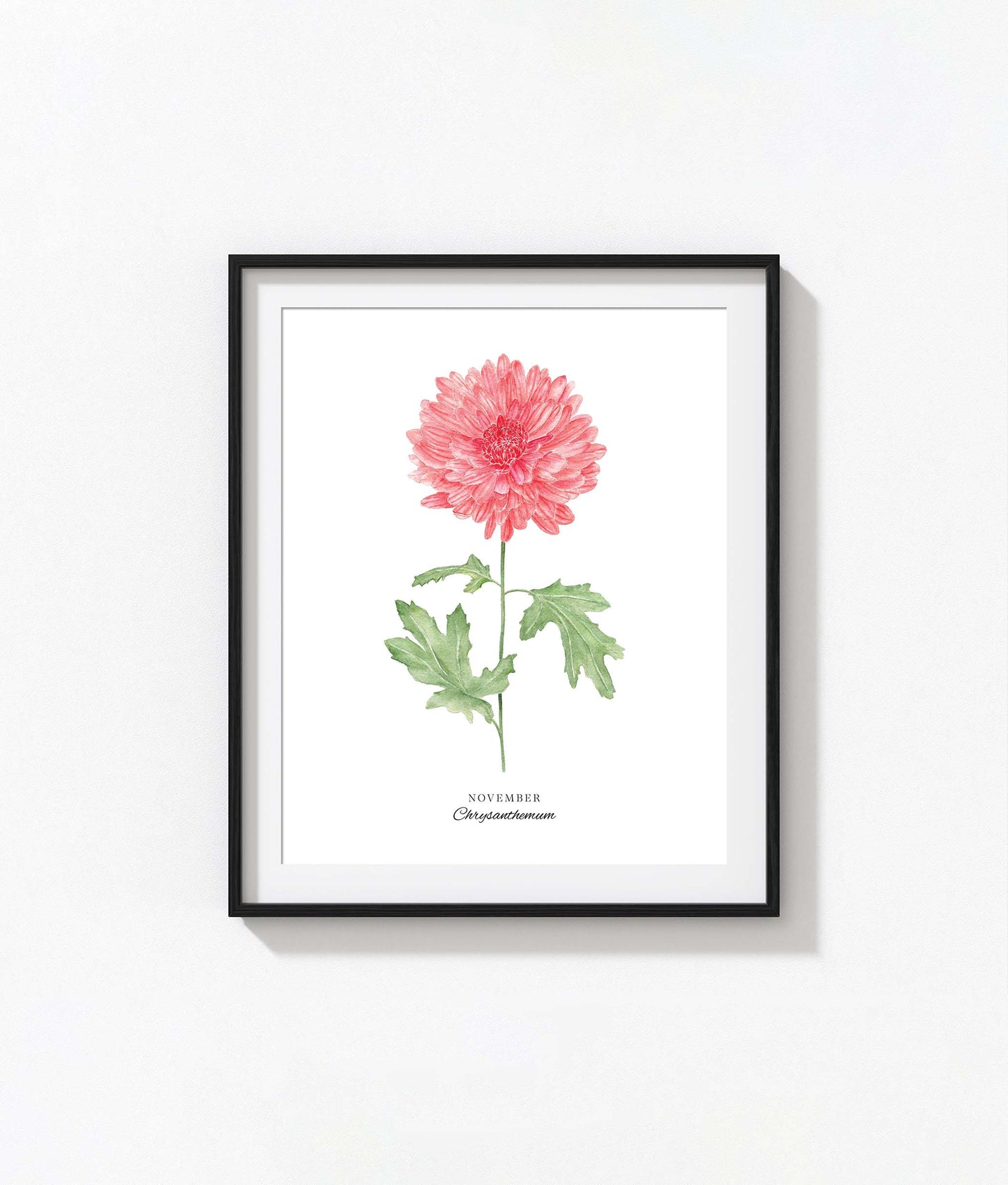 Chrysanthemum Art Print, November Birth Flower