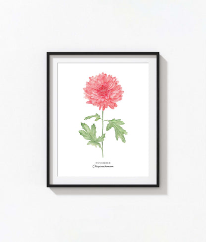 Chrysanthemum Art Print, November Birth Flower