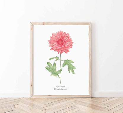 Chrysanthemum Art Print, November Birth Flower