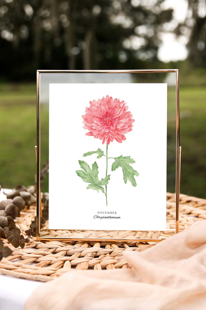 Chrysanthemum Art Print, November Birth Flower