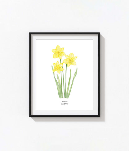 Daffodil Art Print, March Birth Flower