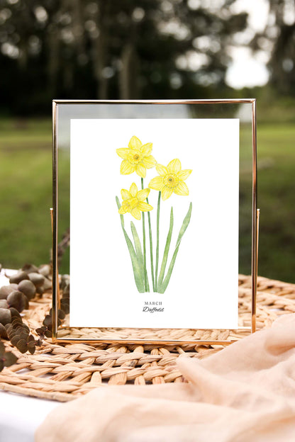 Daffodil Art Print, March Birth Flower