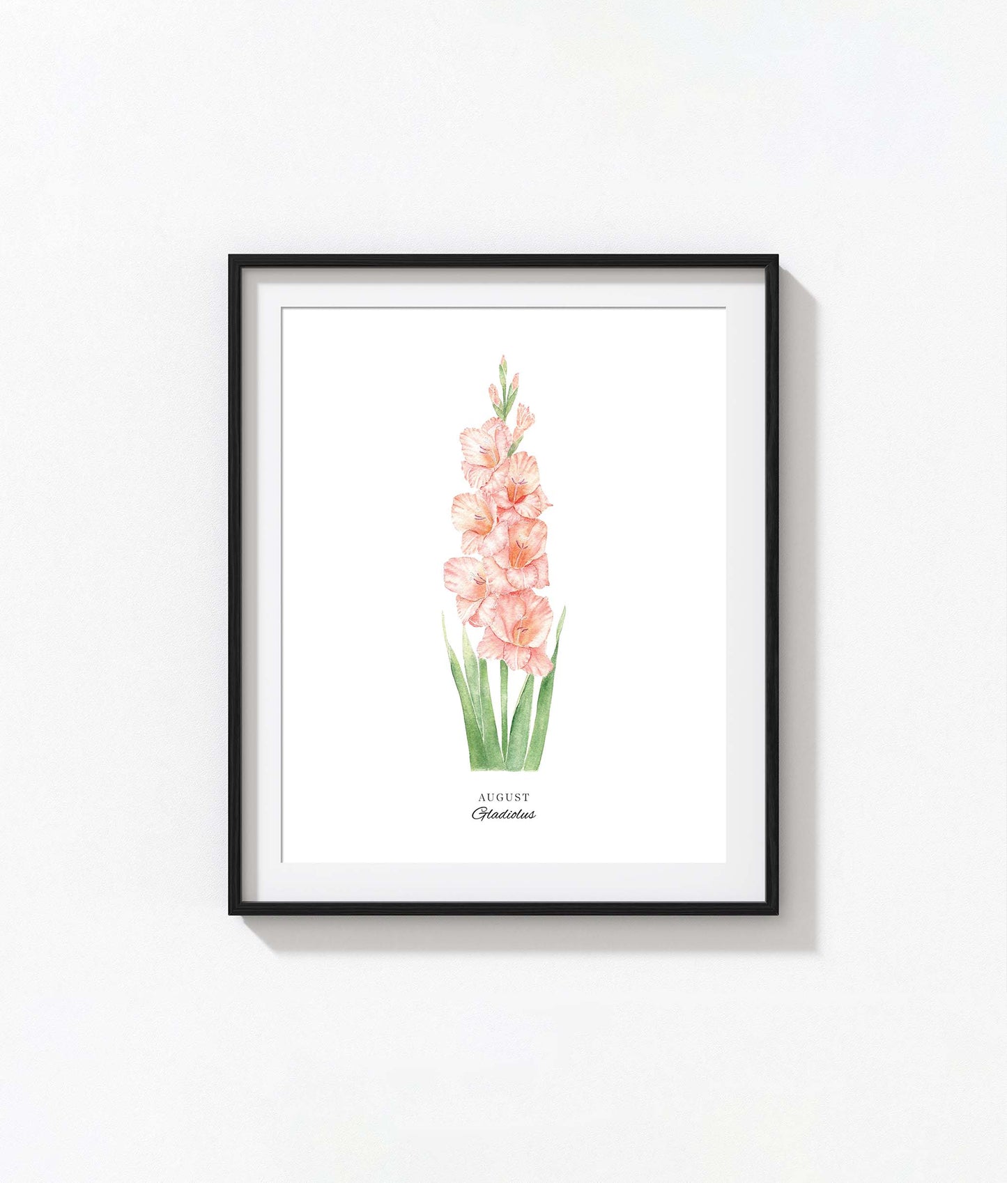 Gladiolus Art Print, August Birth Flower