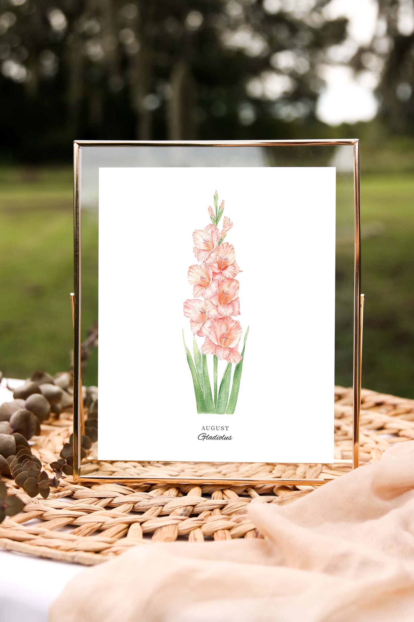 Gladiolus Art Print, August Birth Flower