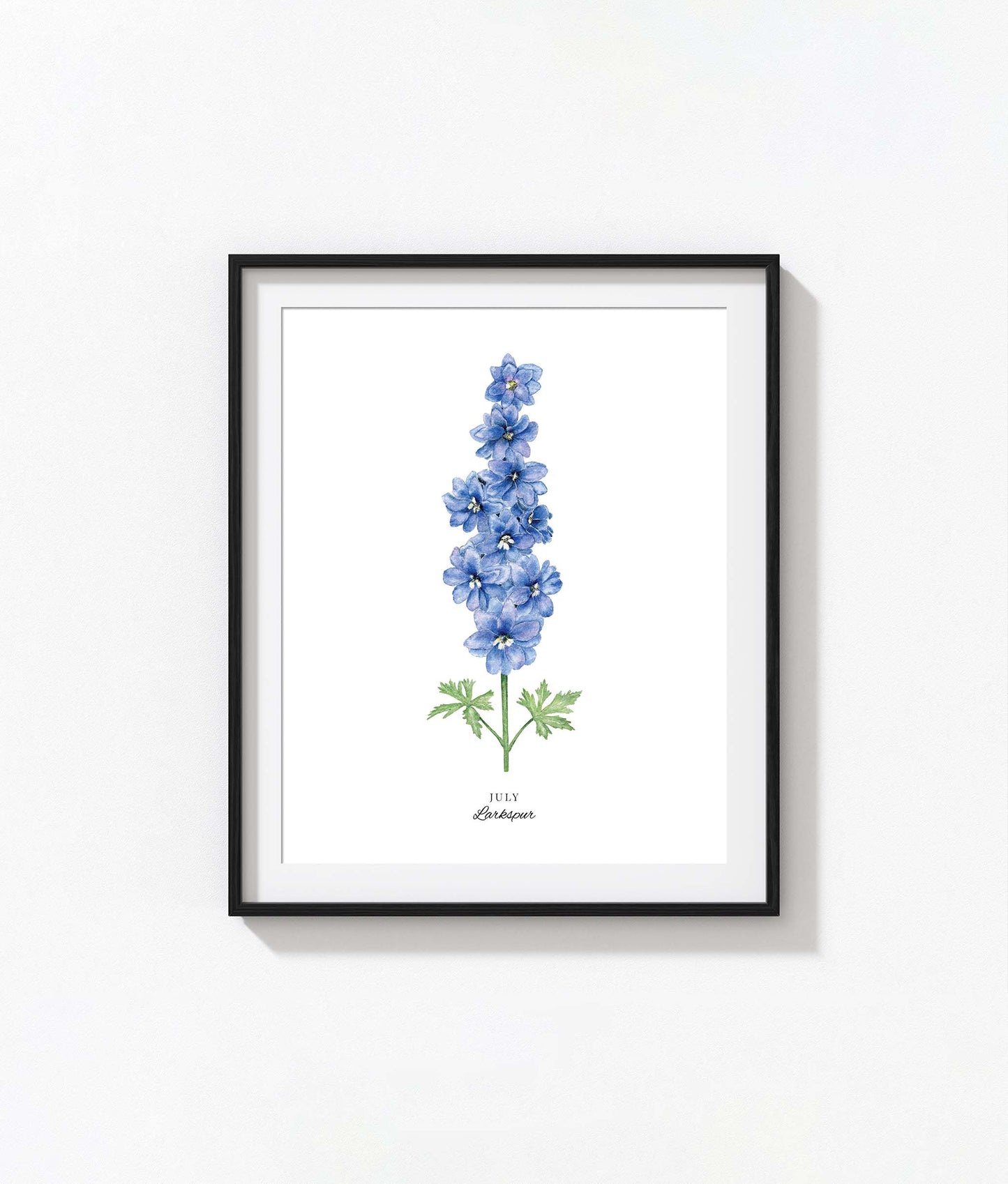 Larkspur Art Print, July Birth Flower