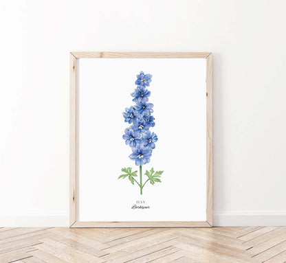 Larkspur Art Print, July Birth Flower