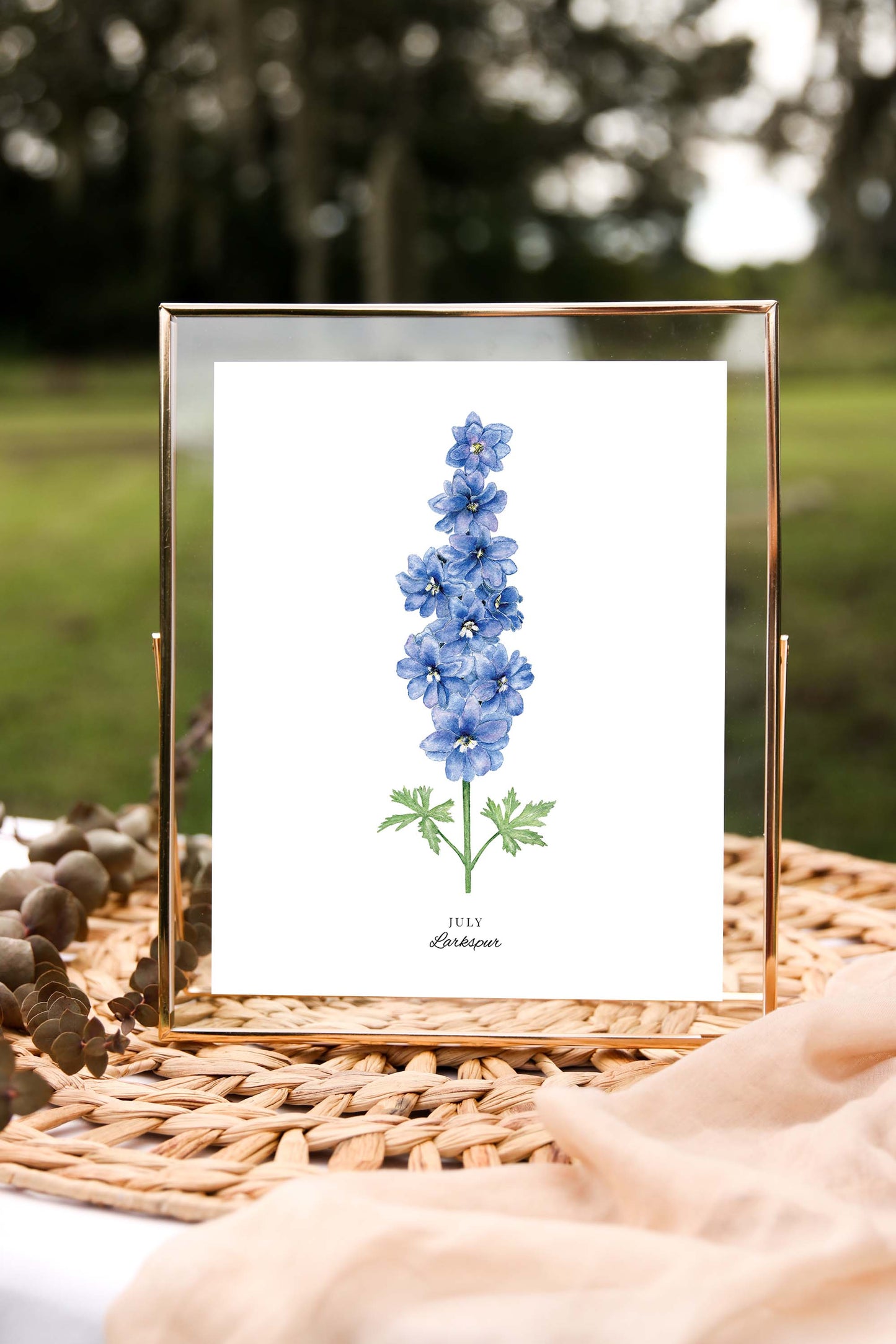 Larkspur Art Print, July Birth Flower