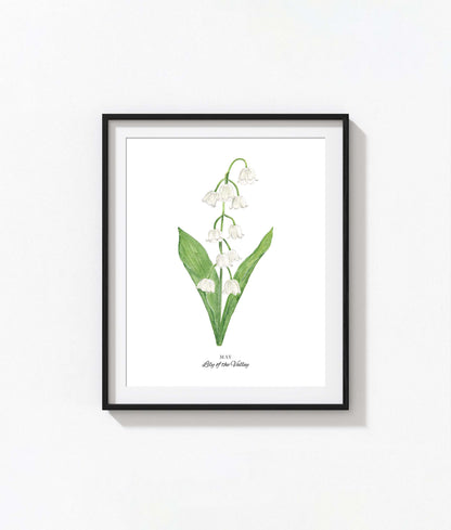 Lily of the Valley Art Print, May Birth Flower