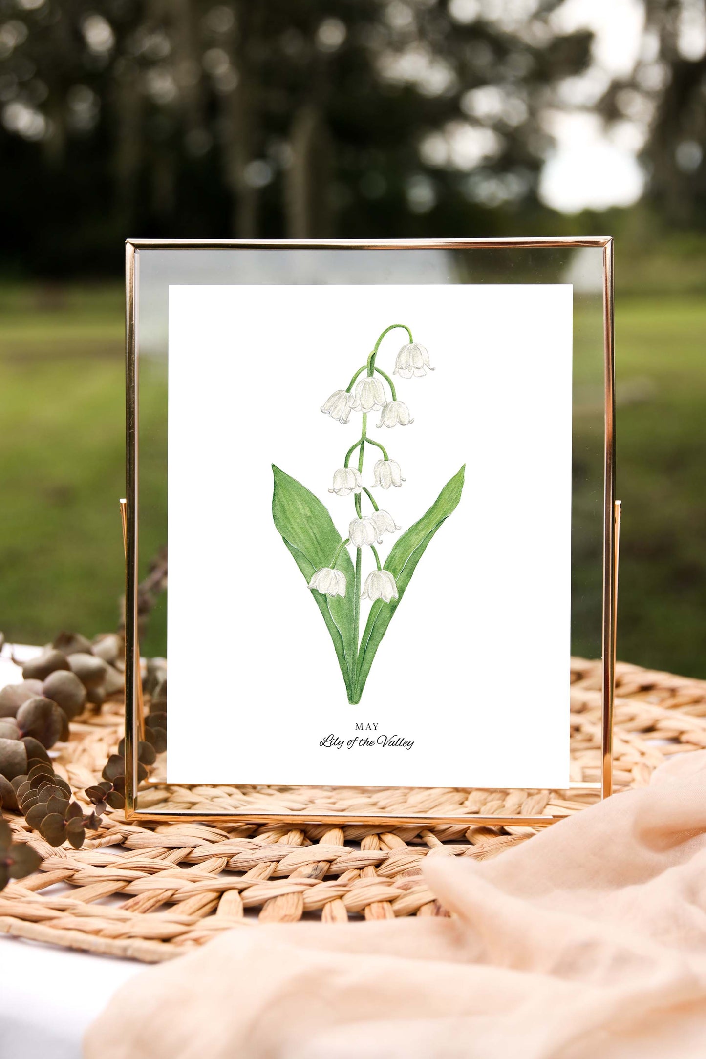 Lily of the Valley Art Print, May Birth Flower