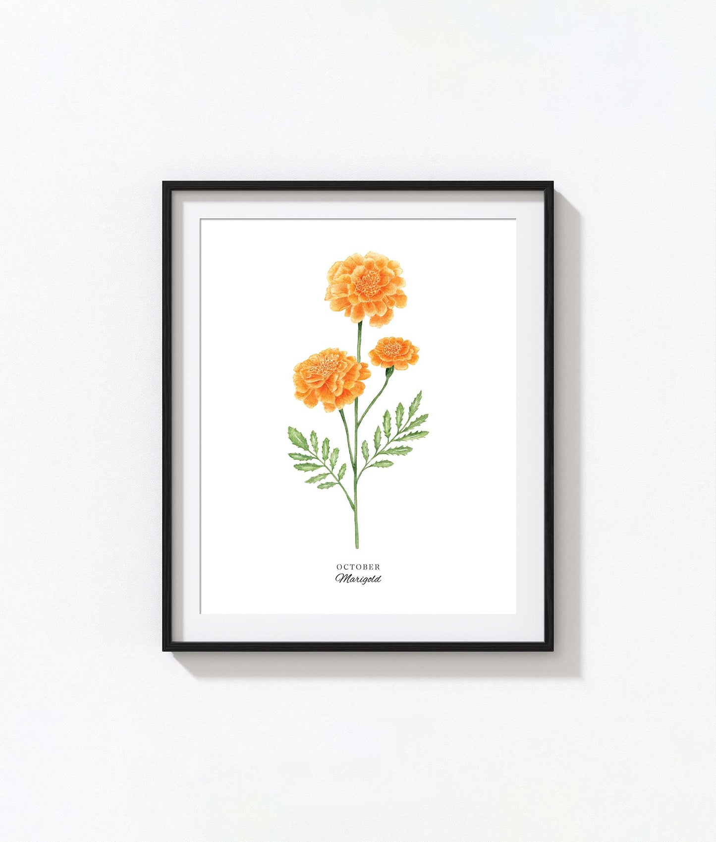 Marigold Art Print, October Birth Flower