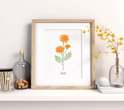 Marigold Art Print, October Birth Flower