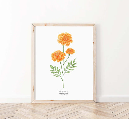 Marigold Art Print, October Birth Flower