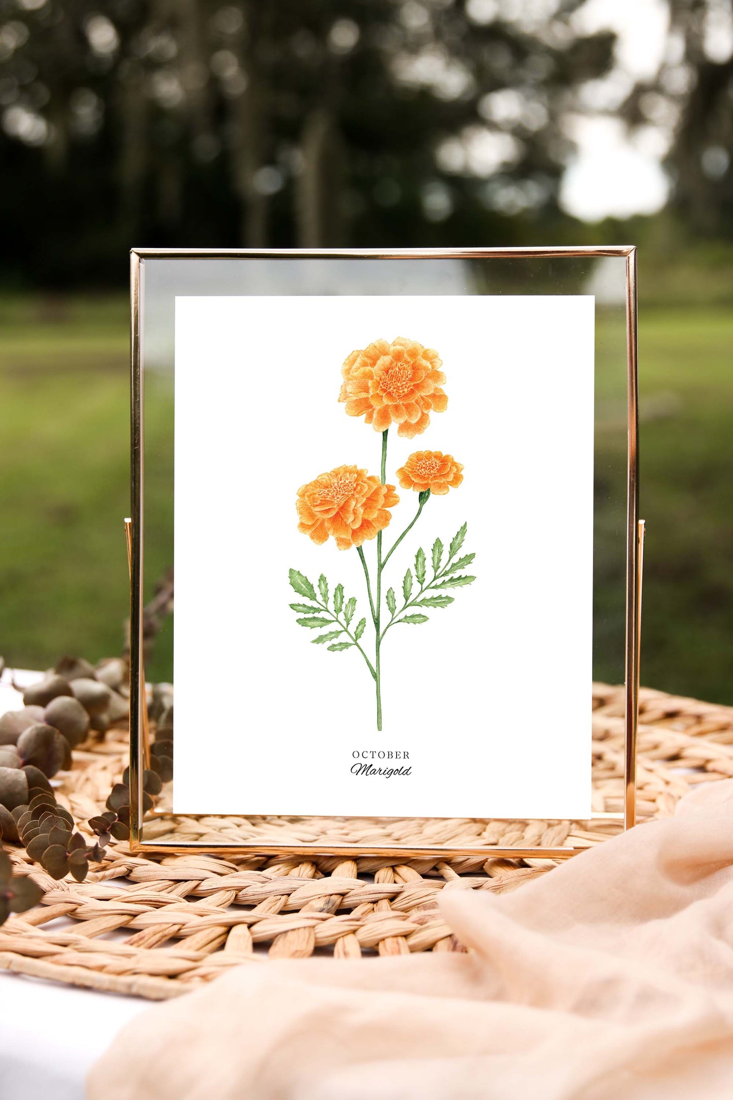 Marigold Art Print, October Birth Flower