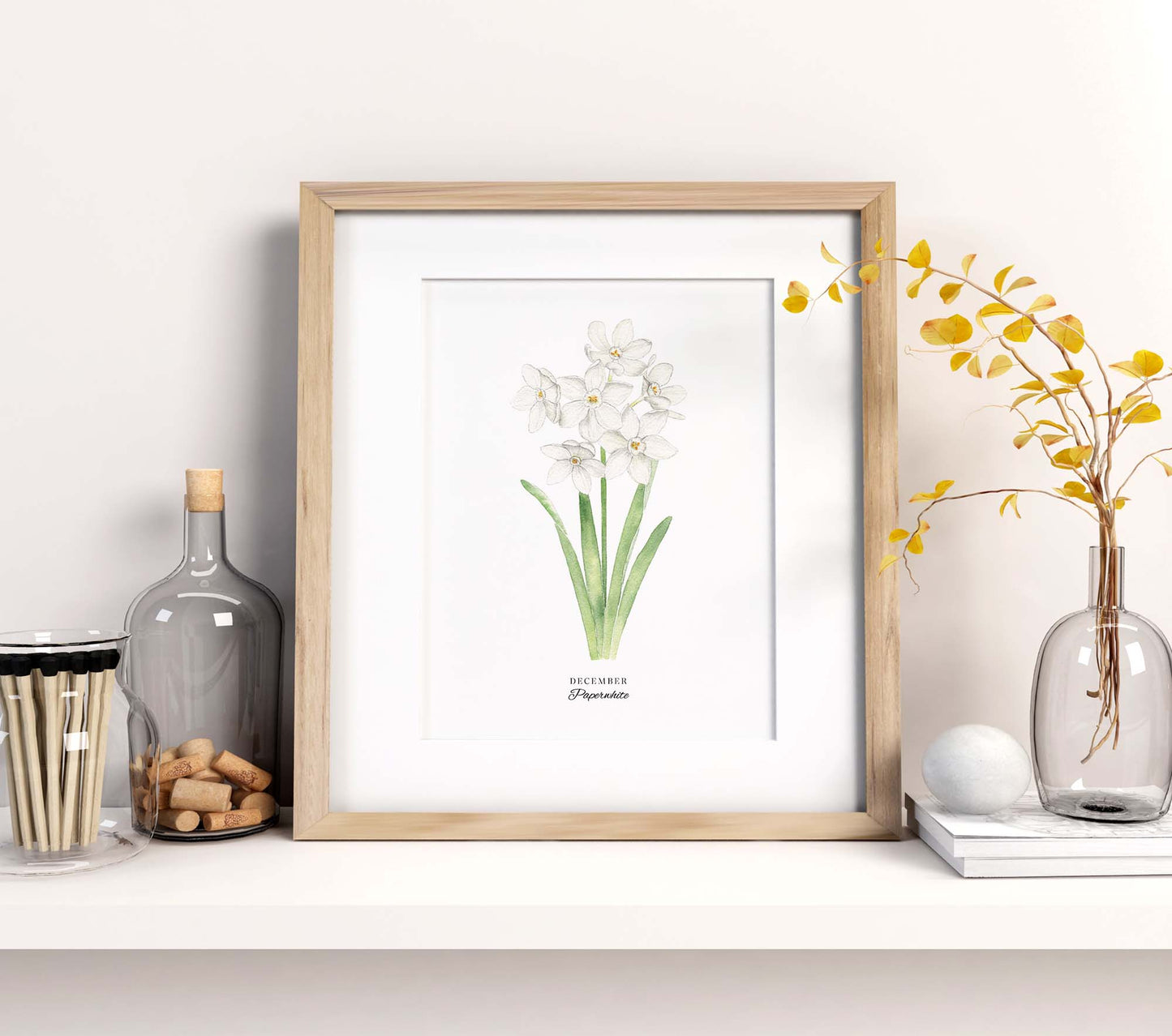 Paperwhite Art Print, December Birth Flower