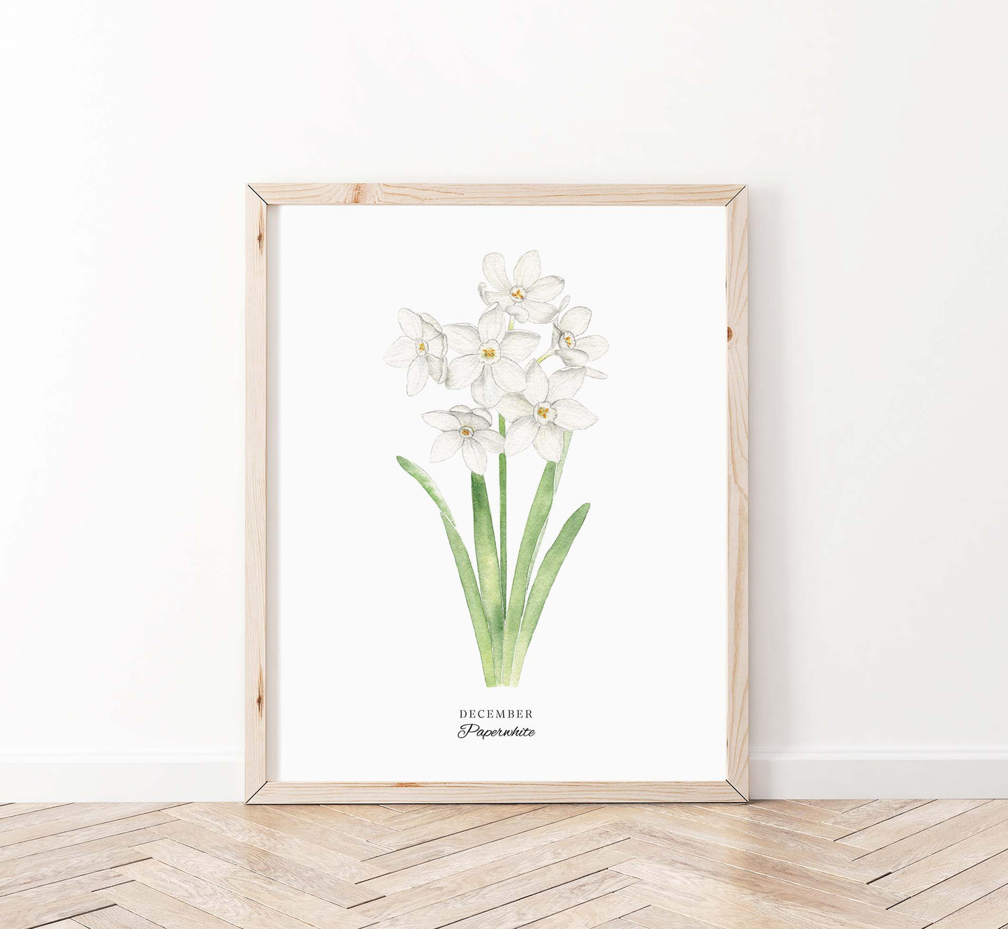 Paperwhite Art Print, December Birth Flower