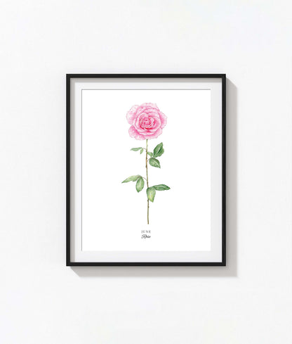 Rose Art Print, June Birth Flower