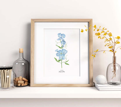 Sweet Pea Art Print, April Birth Flower