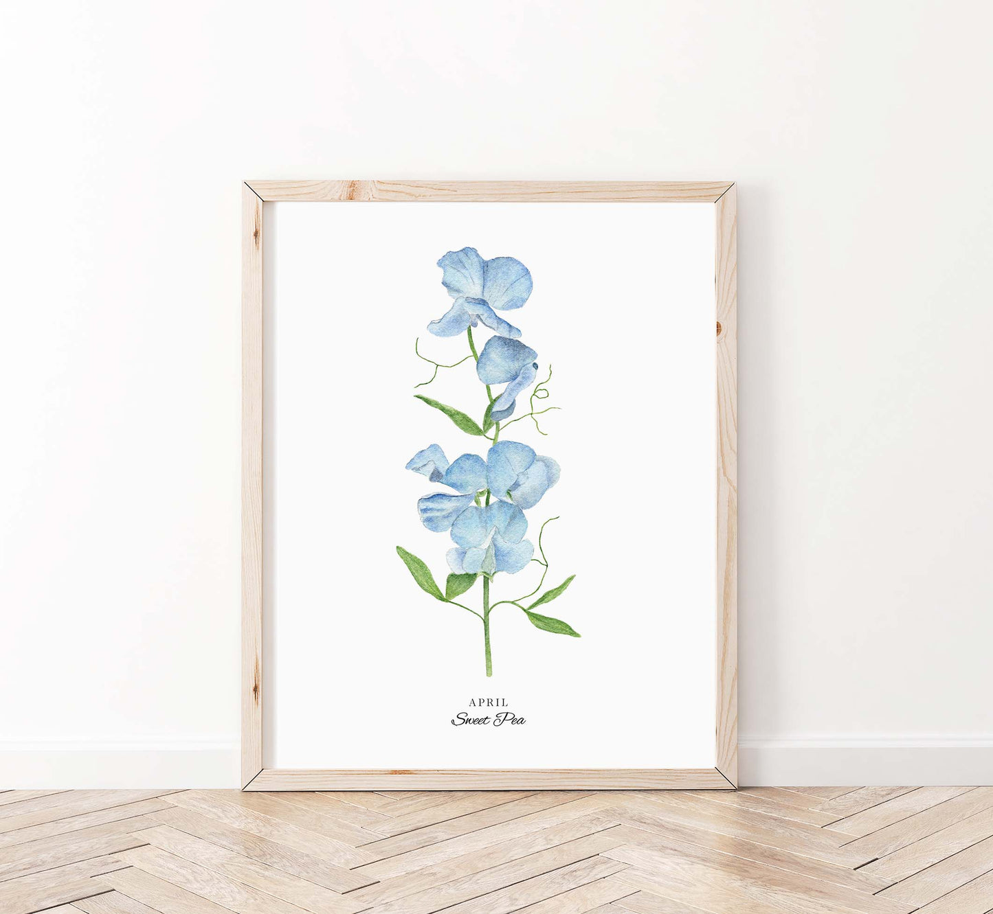 Sweet Pea Art Print, April Birth Flower