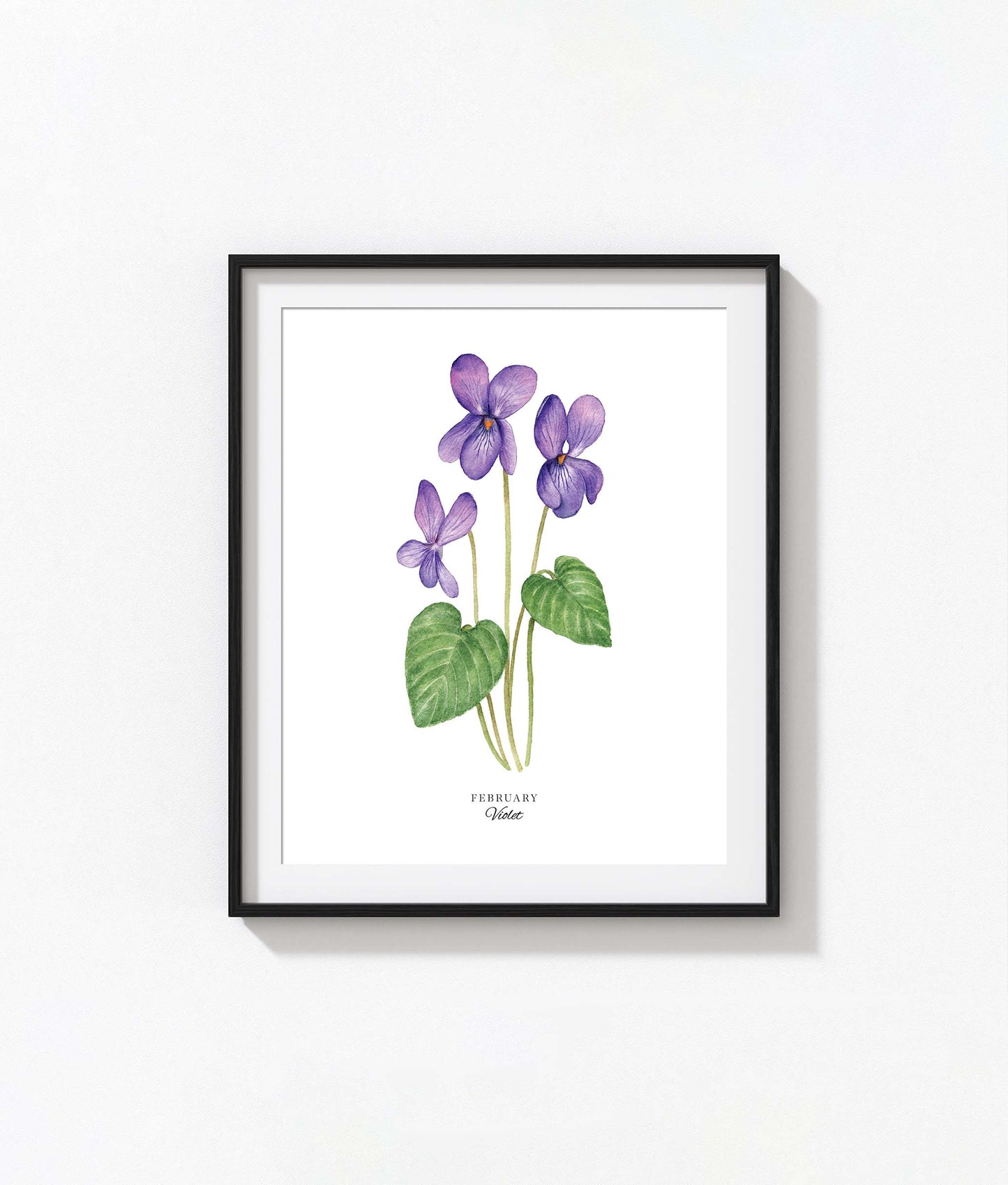 Violet Art Print, February Birth Flower