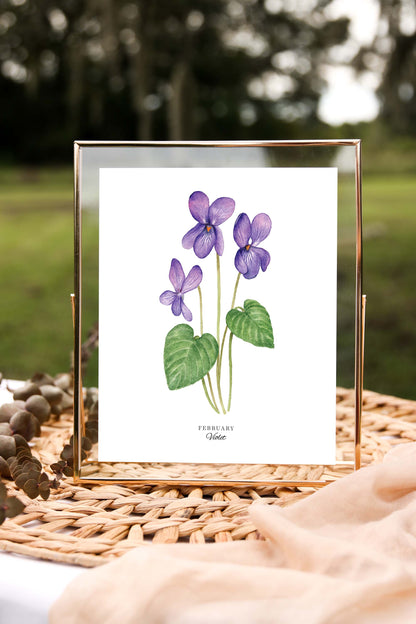 Violet Art Print, February Birth Flower