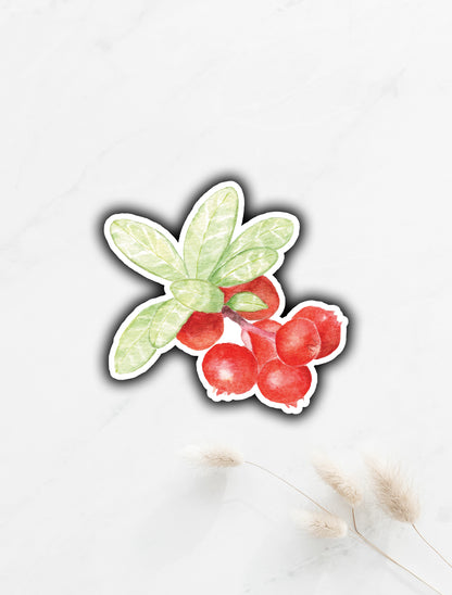 Cranberry Sticker 2.8"x2.8"