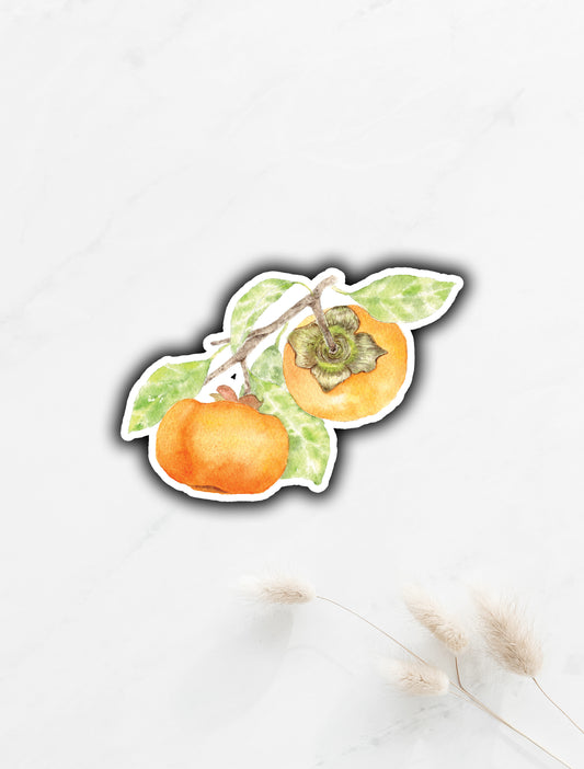 Persimmon Sticker 2"x3"