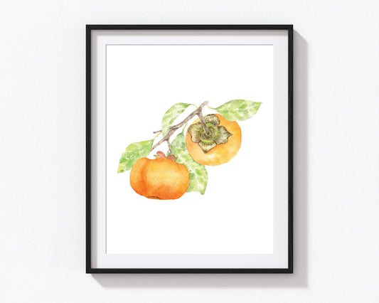 Persimmon Art Print